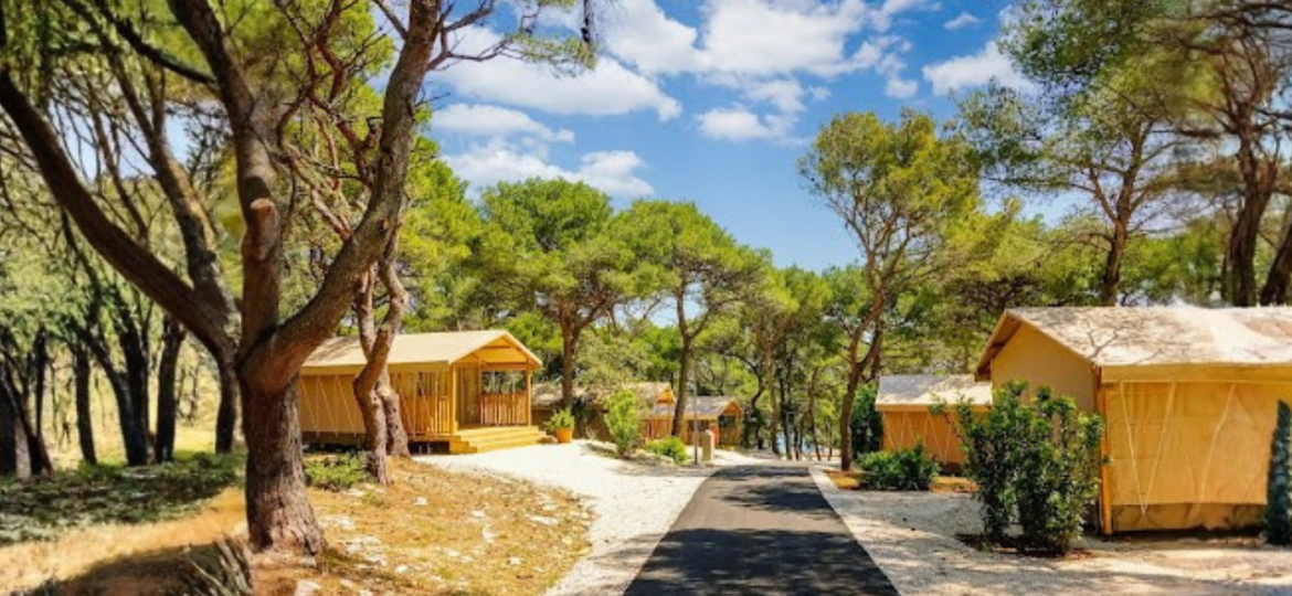 Modern vakantiepark met luxe glamping accommodaties en chalets in een bosrijke omgeving