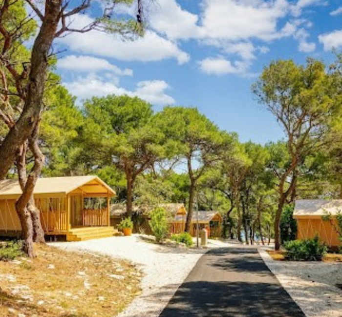 Modern vakantiepark met luxe glamping accommodaties en chalets in een bosrijke omgeving
