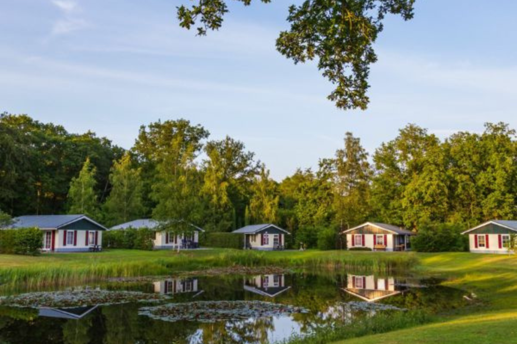 Rustig gelegen vakantiepark met moderne vakantiewoningen rond een vijver in groene omgeving